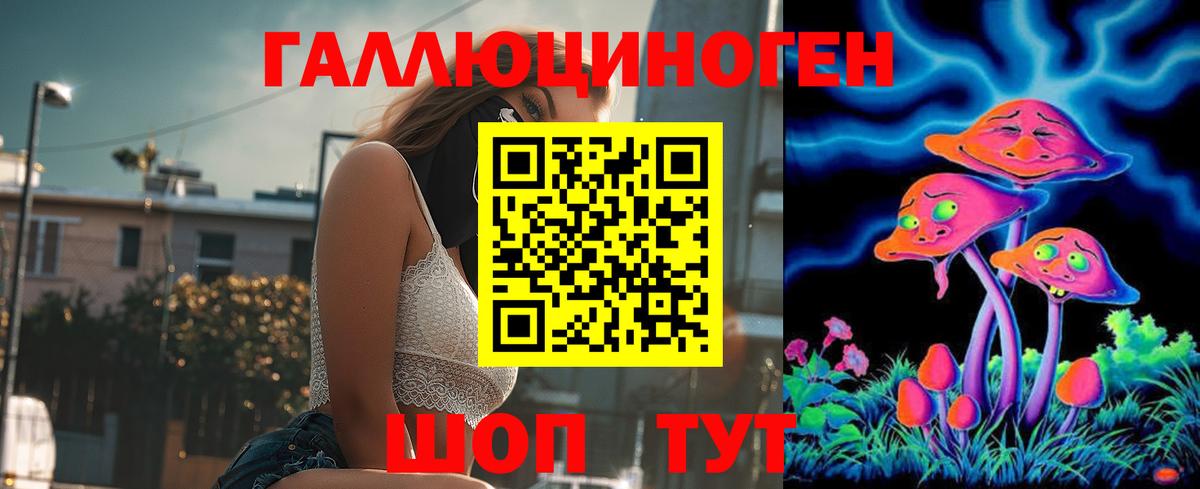 Вязники  Псилоцибиновые грибы Psilocybine cubensis  Вход с VPN  сколько стоит  Псилоцибиновые грибы MAGIC MUSHROOMS 